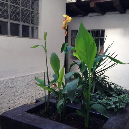 Chacha International Hostel Chachapoyas Bagian luar foto
