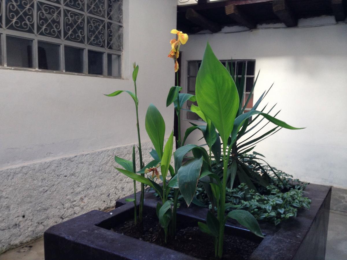 Chacha International Hostel Chachapoyas Bagian luar foto